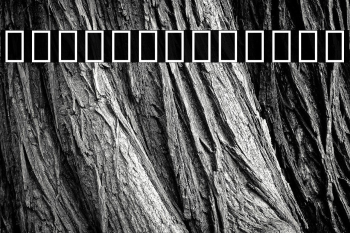 Noto Sans Tamil ExtraBold Example 1