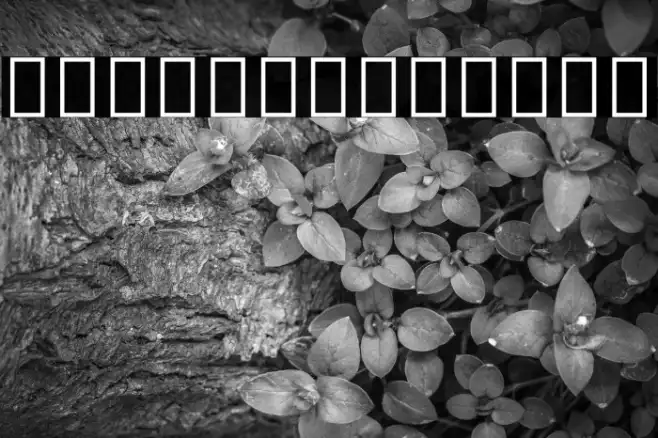 Noto Sans Tamil ExtraCondensed Light Example 2