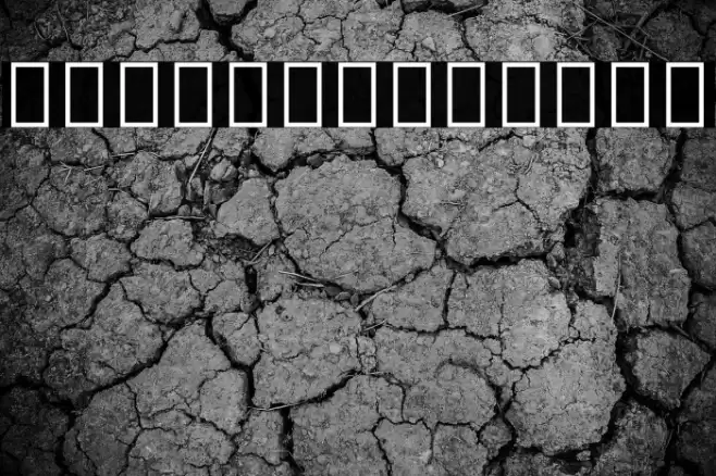 Noto Sans Tamil ExtraLight Font examples