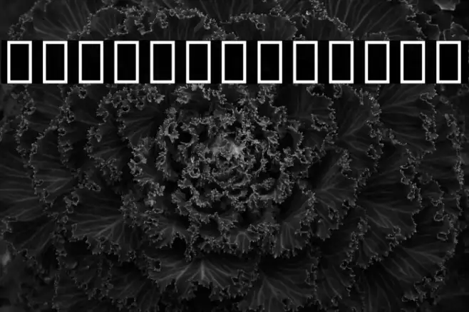 Noto Sans Tamil SemiCondensed Bold Example 2