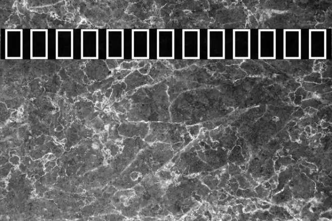 Noto Sans Tamil UI Condensed Light Example 1