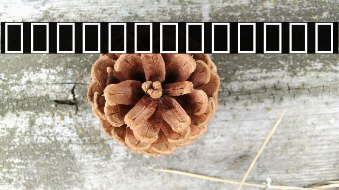 Noto Sans Tamil UI ExtraCondensed ExtraBold Example 2