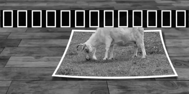 Noto Sans Tamil UI SemiBold Example 2