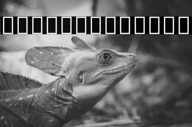 Noto Sans Tamil UI SemiCondensed Bold Font examples