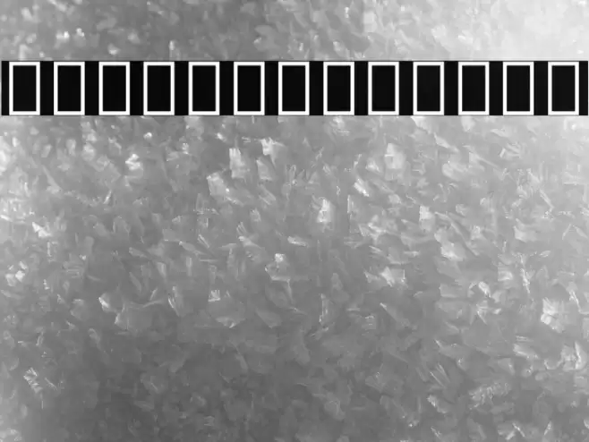 Noto Sans Tamil UI SemiCondensed Medium Font examples