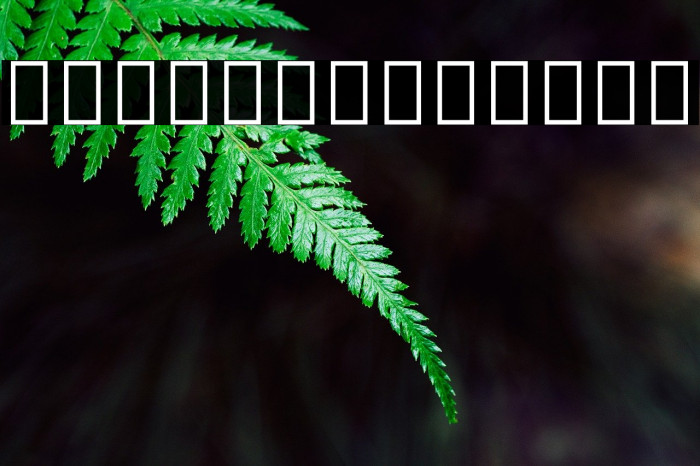 Noto Sans Tamil UI SemiCondensed Thin Example 2