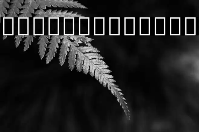 Noto Sans Tamil UI SemiCondensed Thin Font examples