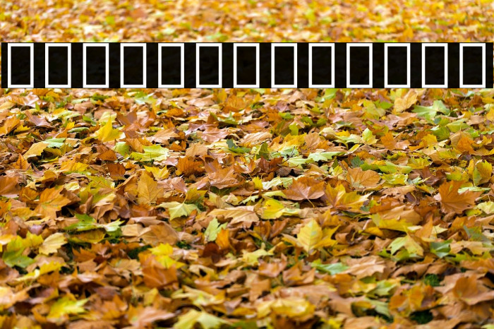 Noto Sans Tamil UI SemiCondensed Example 2