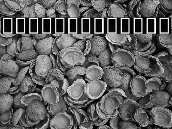 Noto Sans Thai ExtraBold Font examples