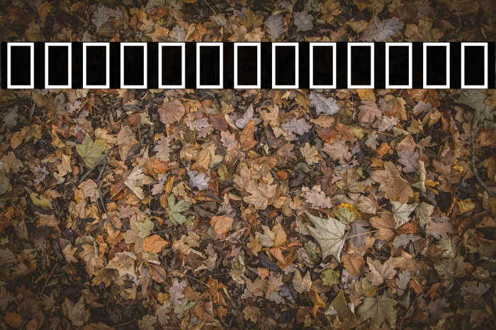 Noto Sans Thai ExtraCondensed ExtraBold Font examples