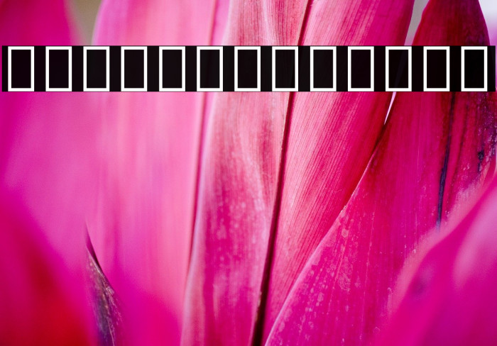 Noto Sans Thai ExtraCondensed ExtraLight Font examples