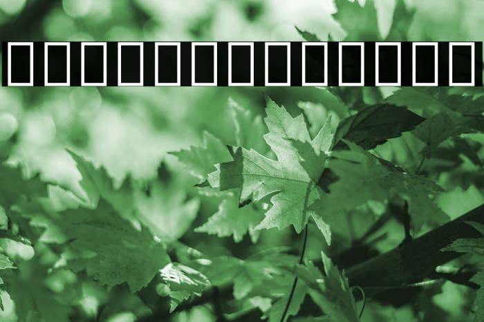 Noto Sans Thai ExtraCondensed Light Font examples