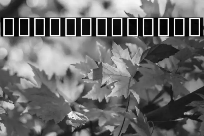 Noto Sans Thai ExtraCondensed Light Example 3