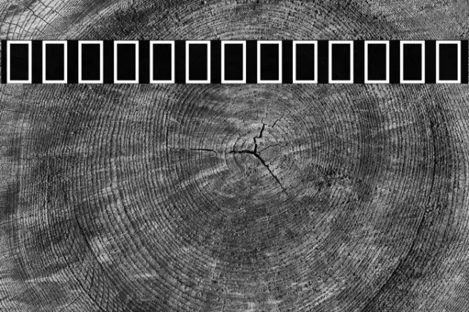 Noto Sans Thai ExtraCondensed Example 3