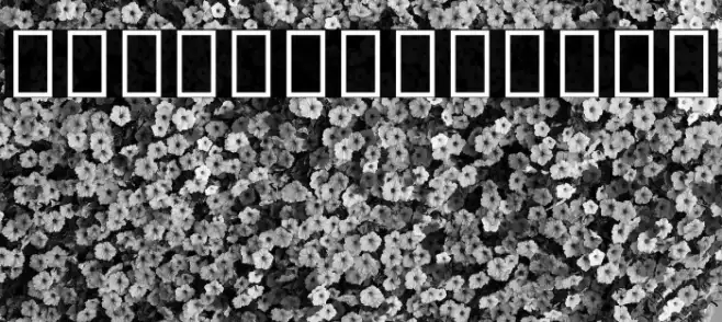 Noto Sans Thai SemiCondensed Black Example 2
