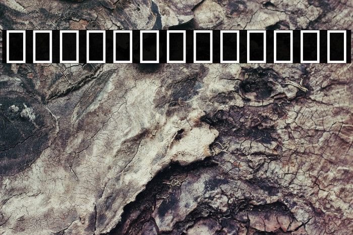 Noto Sans Thai SemiCondensed Black Font examples