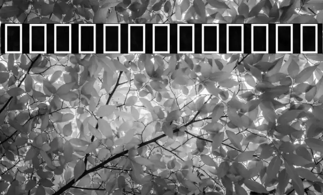 Noto Sans Thai SemiCondensed Bold Font examples