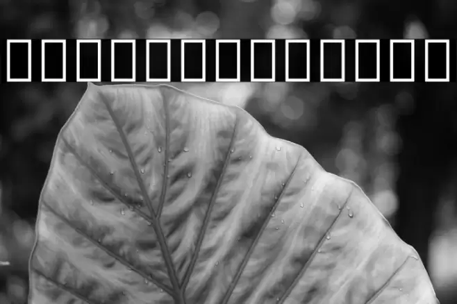 Noto Sans Thai UI Condensed Bold Font examples