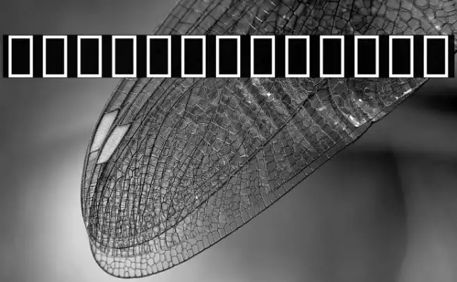 Noto Sans Thai UI Condensed ExtraBold Example 1