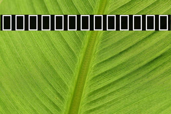 Noto Sans Thai UI ExtraCondensed Thin Font examples