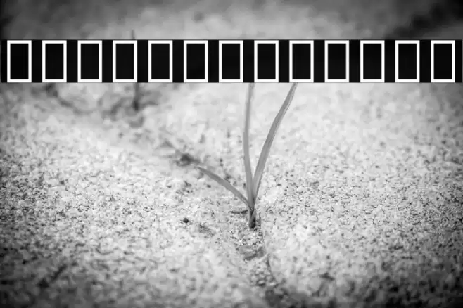 Noto Sans Thai UI SemiBold Font examples