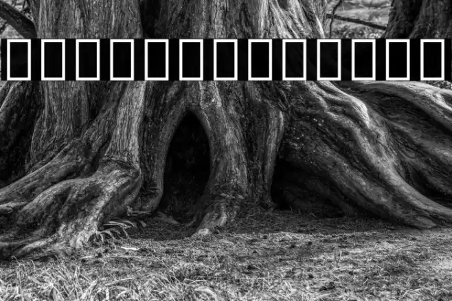 Noto Sans Thai UI SemiCondensed Bold Font examples