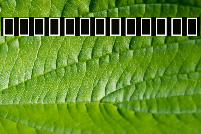 Noto Sans Thai UI SemiCondensed Font examples