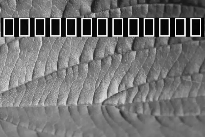 Noto Sans Thai UI SemiCondensed Example 3