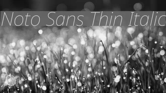 Noto Sans Thin Italic Font examples