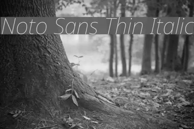 Noto Sans Thin Italic Font examples