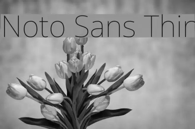 Noto Sans Thin Font examples
