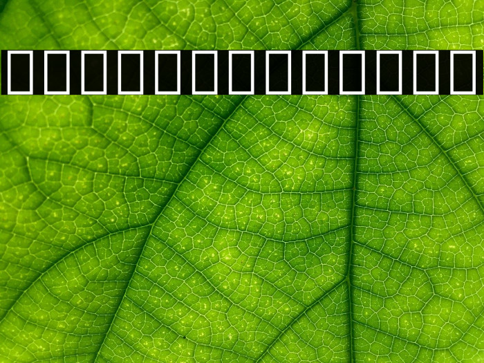 Noto Sans Tifinagh Regular Example 1