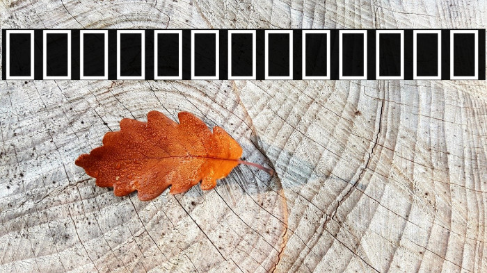 Noto Serif Armenian Condensed Bold Example 1