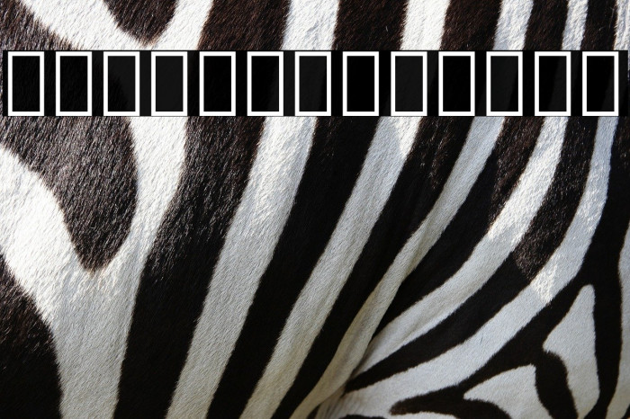 Noto Serif Armenian Condensed Bold Example 3