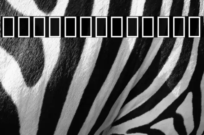 Noto Serif Armenian Condensed Bold Font examples