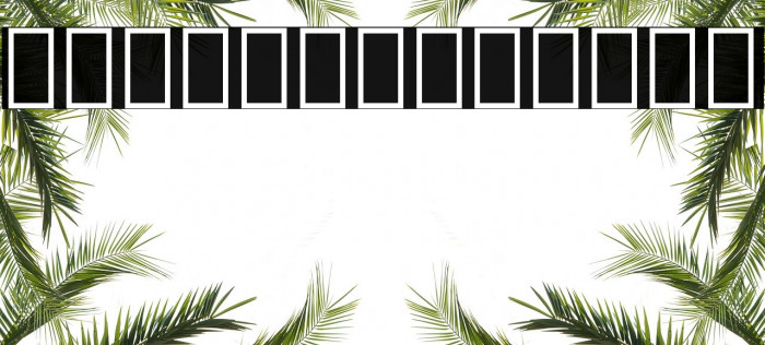 Noto Serif Armenian Condensed Light Font examples