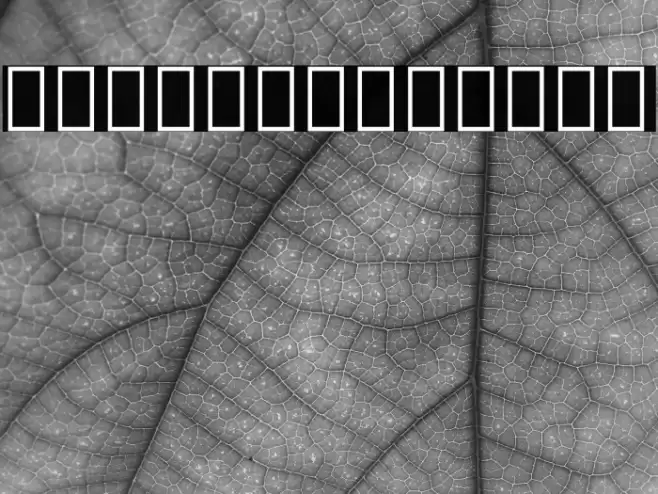 Noto Serif Armenian Light Font examples