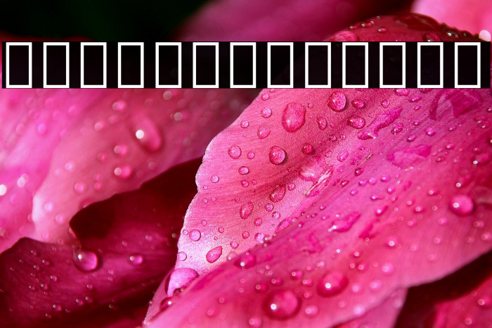 Noto Serif Armenian SemiBold Font examples