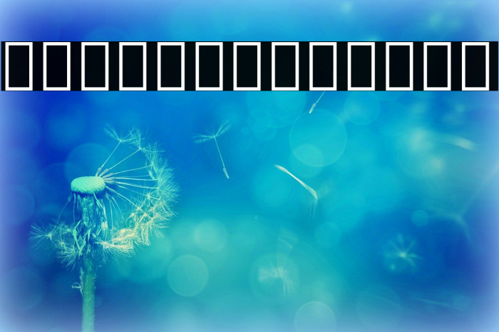 Noto Serif Armenian SemiCondensed Bold Example 1