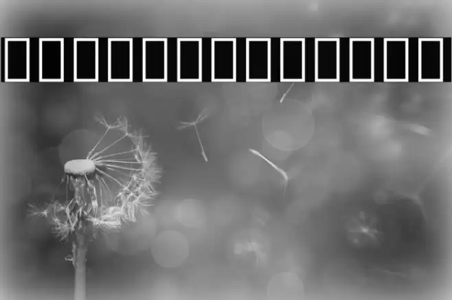 Noto Serif Armenian SemiCondensed Bold Font examples