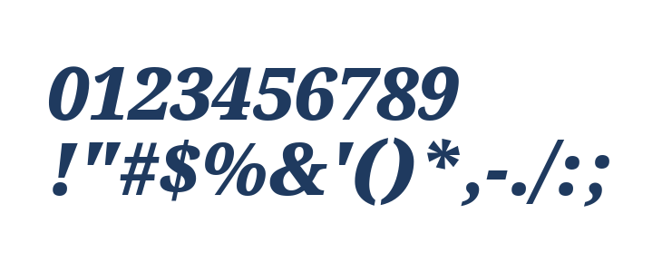 Noto Serif Black Italic Other Characters