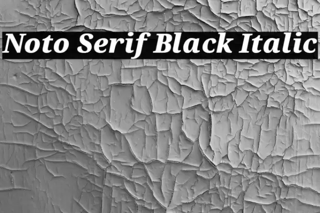 Noto Serif Black Italic Font examples