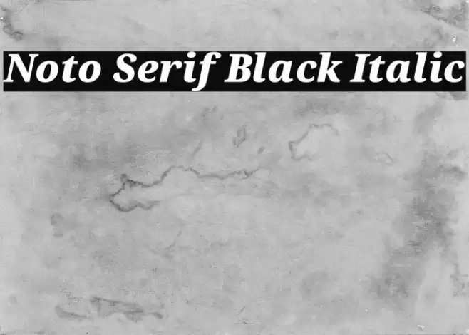 Noto Serif Black Italic Font examples