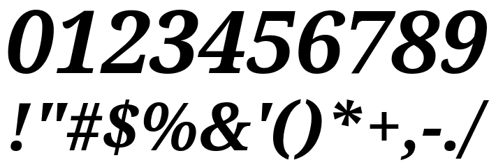 Noto Serif Bold Italic Font OTHER CHARS