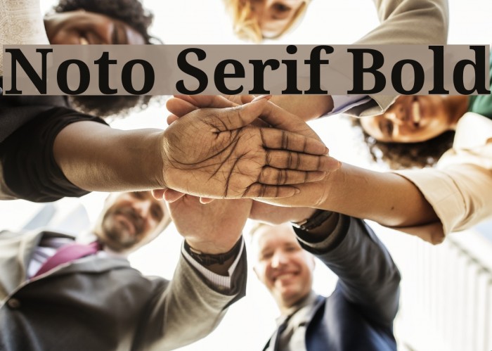 Noto Serif Bold Font examples