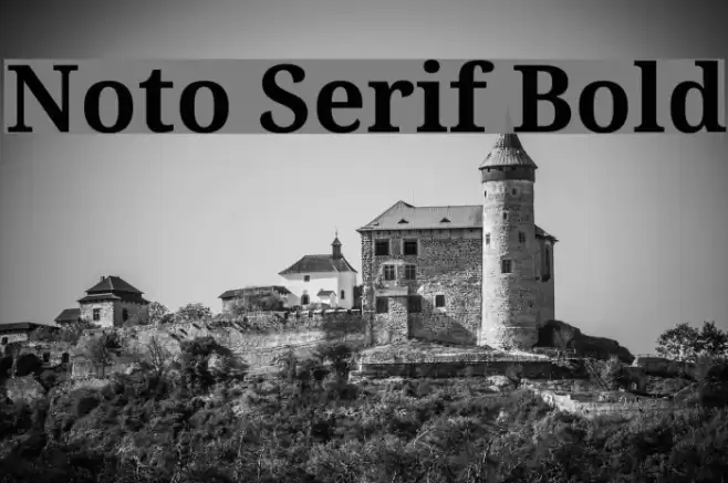 Noto Serif Bold Font examples