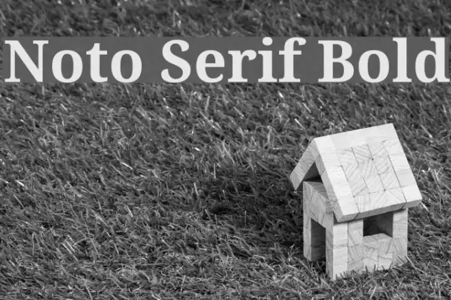 Noto Serif Bold Font examples