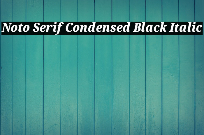 Noto Serif Condensed Black Italic Font examples