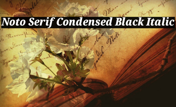 Noto Serif Condensed Black Italic Font examples