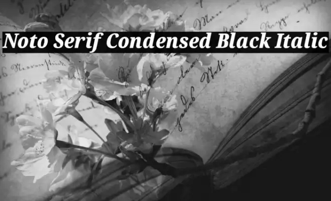 Noto Serif Condensed Black Italic Example 2